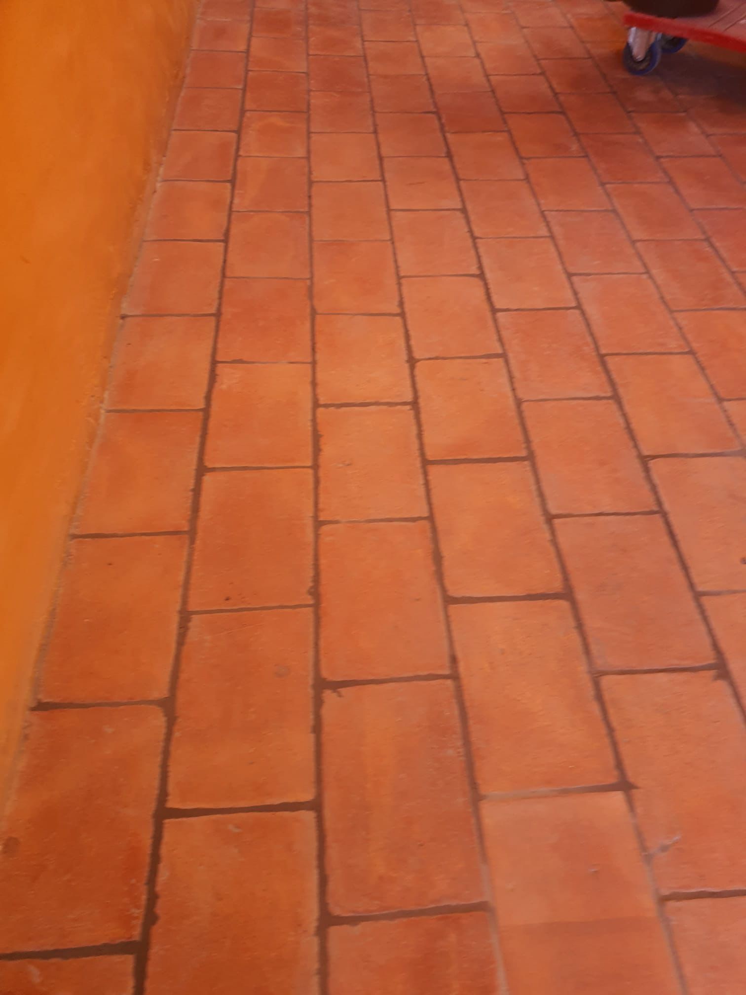 Renovación de suelo de terracota en vivienda particular (2024)